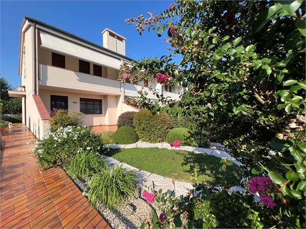 Rif. 7957 - Schiera di testa a Montebelluna